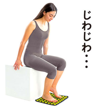 �֎q�ɍ����Ďg���Ύ����̍D���ȋ����ł�����ł��܂��B