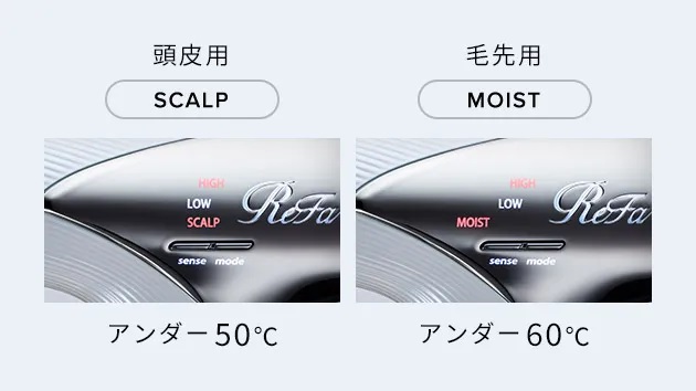 ����pSCALP �ѐ�pMOIST