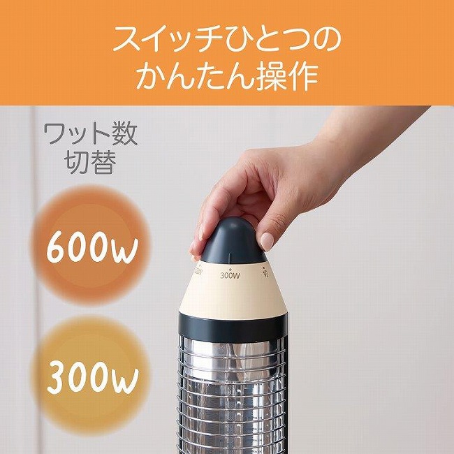 600W�^300W�̐ؑ։\