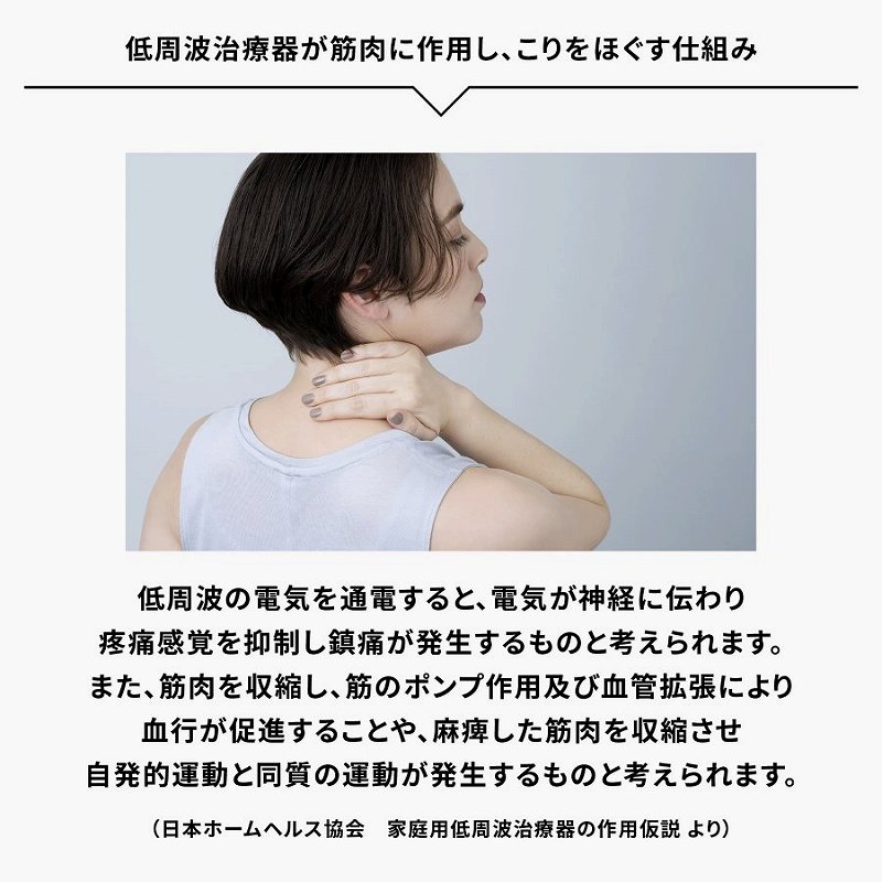 ����g���Ê킪�ؓ��ɍ�p��������ق����d�g��