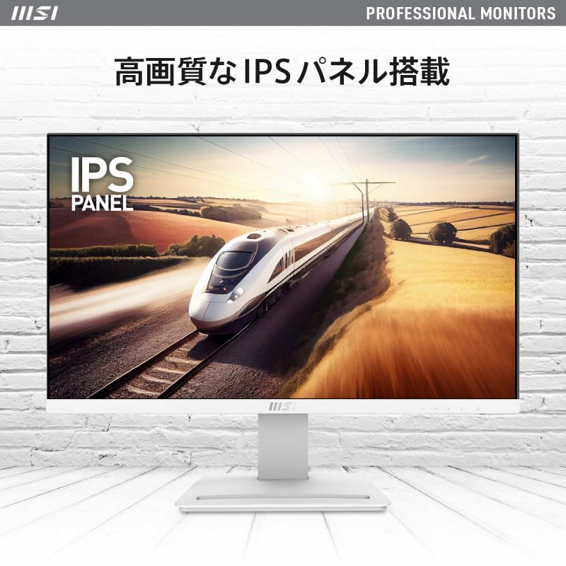 ���掿��IPS�p�l������