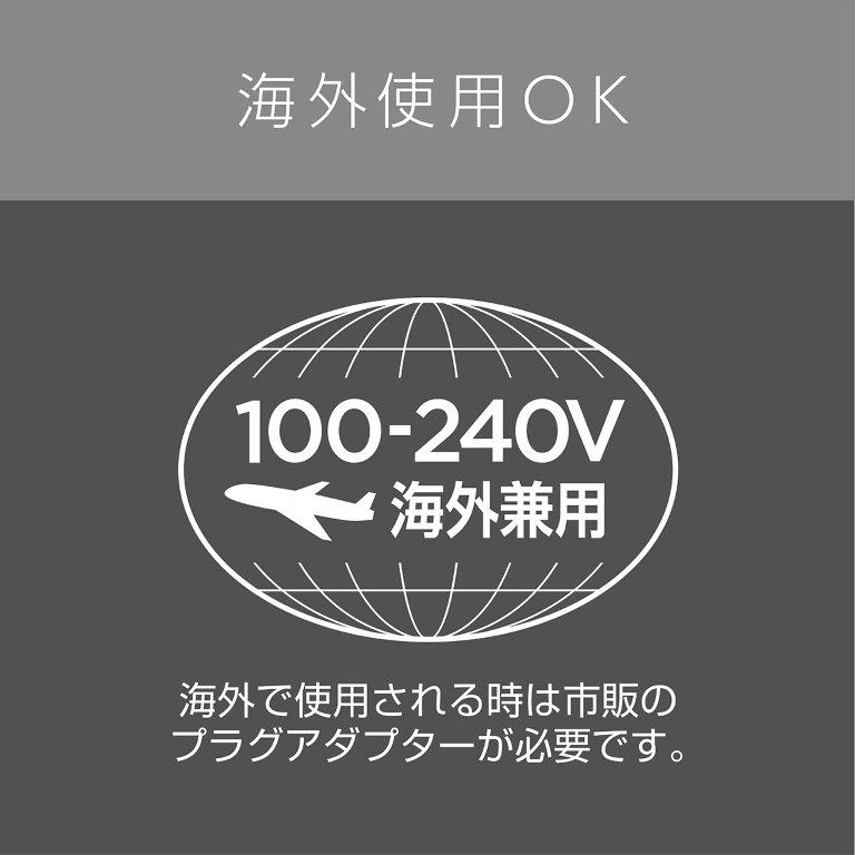 �C�O���s��ł��g����100-240V�Ή�