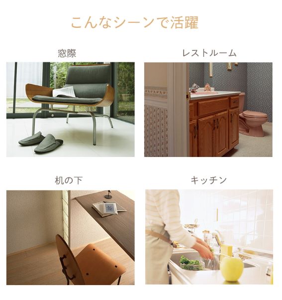 �l�X�ȃV�[���Ŋ���