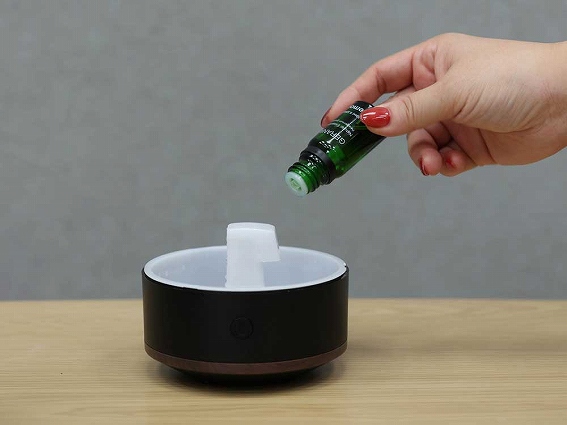 �A���}�f�B�t���[�U�[