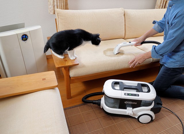 �u�􂦂Ȃ��v�Ƃ�����߂��z���i�̉����