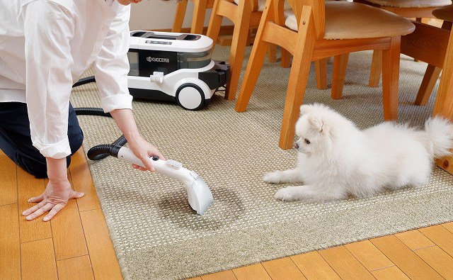 �Â��ɁE���͂ɉ�����z�����