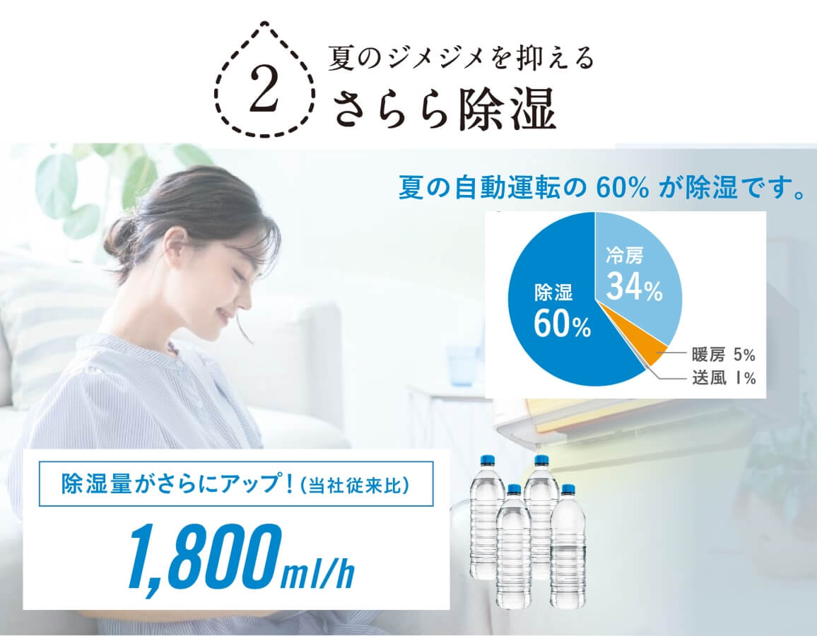 �i�����������ŉ��K����