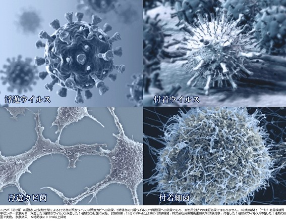 �y�E�C���X�E�ۂ�}���z