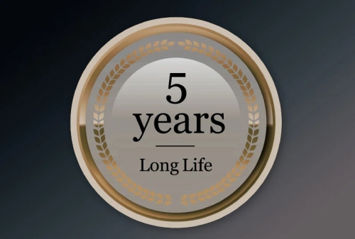 5�N�Ԑ؂ꖡ������1 �����ۏ؁�2