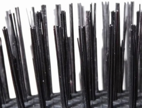 ���I���ꂽ���т��A�E�l�̋Z�Ńu���V��