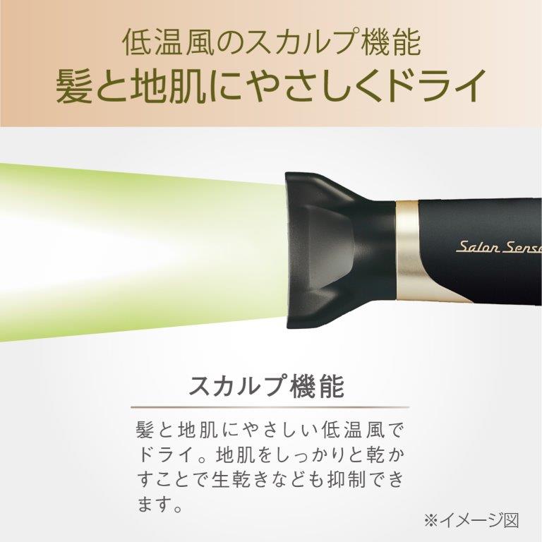 �X�J���v�@�\����