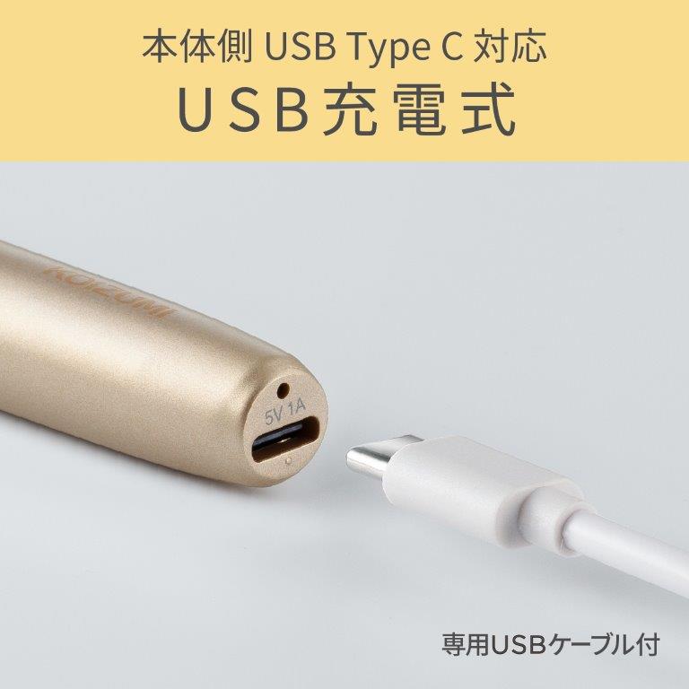 USB@TypeCΉ̏[d