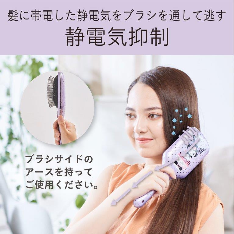 �A�[�X��ʂ��ĐÓd�C�𓦂����\���ŁA���̍L�����}���܂�