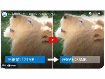 �掿���̂܂܁A�e�ʂ��y��
