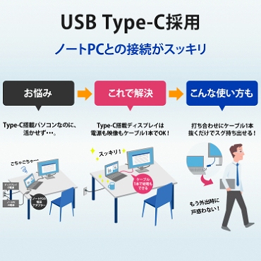 USB Type-C̗p