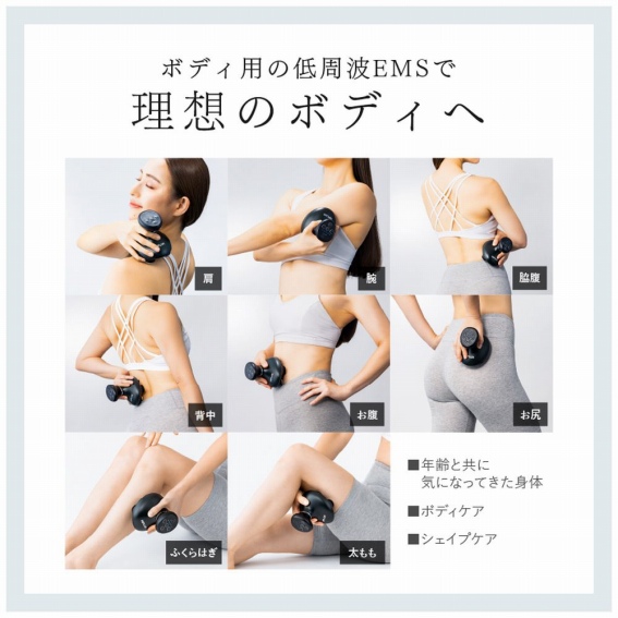 �{�f�B�p�̒���gEMS�ŗ��z�̃{�f�B��