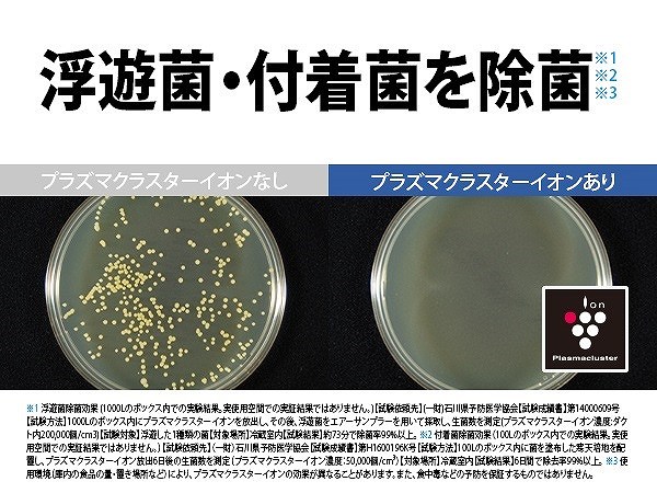 ���V�ەt��������