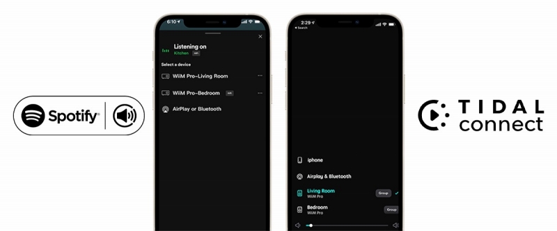 Spotify Connect��TIDAL Connect�֑Ή�