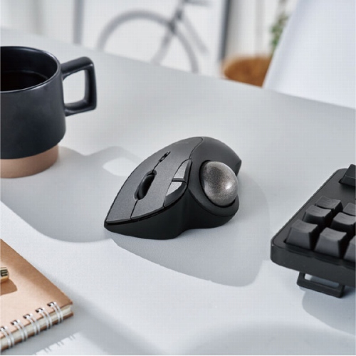 �e�w����^�C�v�̃G���S�m�~�N�X�g���b�N�{�[���gIST(�C�X�g)�h�V���[�Y