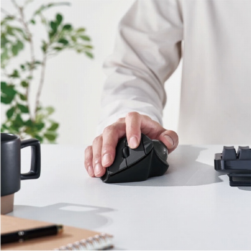 �e�w����^�C�v�̃G���S�m�~�N�X�g���b�N�{�[���gIST(�C�X�g)�h�V���[�Y