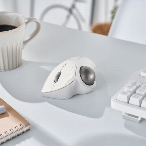 �e�w����^�C�v�̃G���S�m�~�N�X�g���b�N�{�[���gIST(�C�X�g)�h�V���[�Y