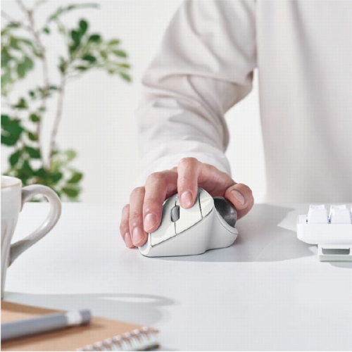 �e�w����^�C�v�̃G���S�m�~�N�X�g���b�N�{�[���gIST(�C�X�g)�h�V���[�Y