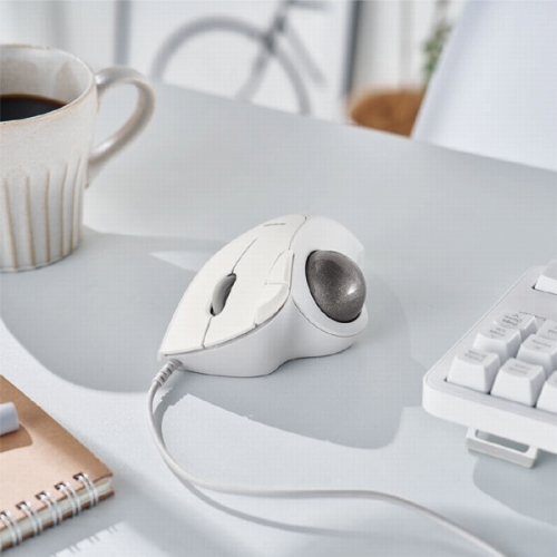 �e�w����^�C�v�̃G���S�m�~�N�X�g���b�N�{�[���gIST(�C�X�g)�h�V���[�Y