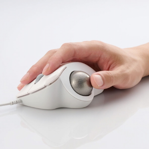 36mm��^�{�[���̗p