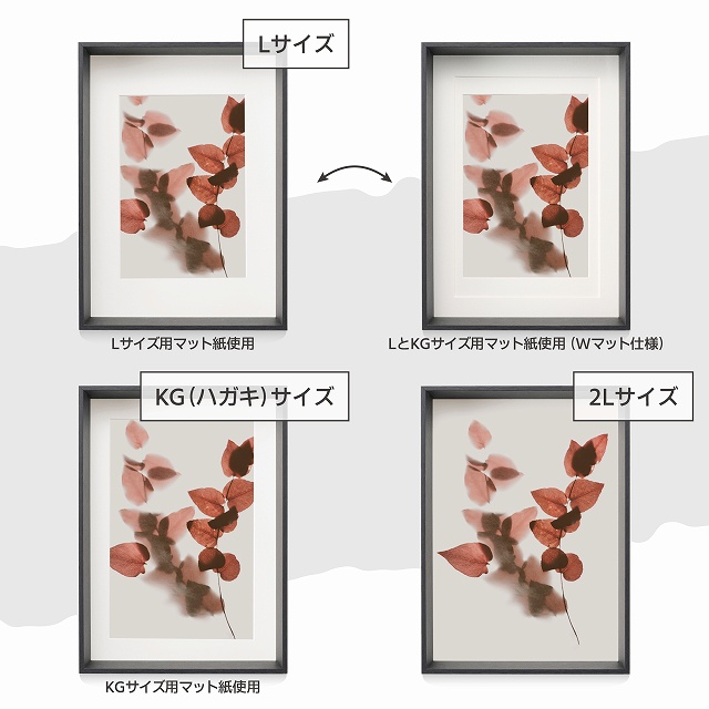 L�^KG�i�n�K�L�j�^2L�T�C�Y�̎ʐ^�ɑΉ�