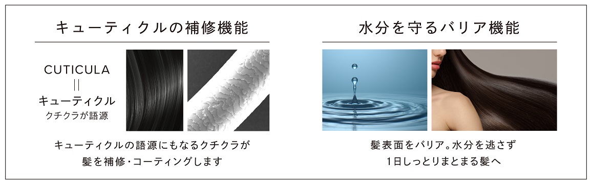 �����𓦂��Ȃ�