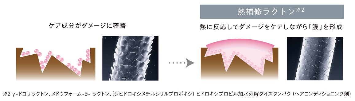 �Ȃ߂炩�Ȕ������c��