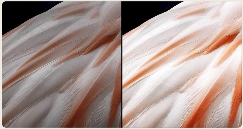 Brightness Booster��薾�邭�N�₩��