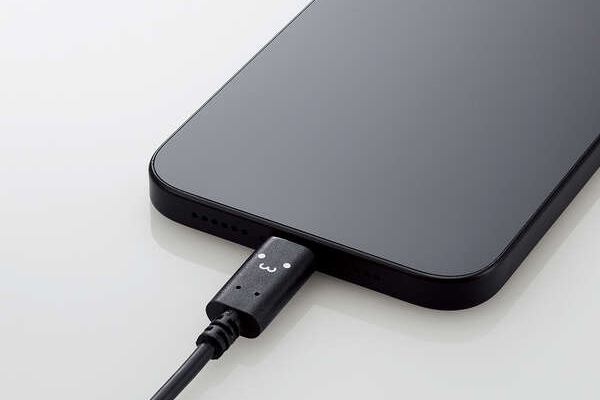 USB Power Delivery�Ή�