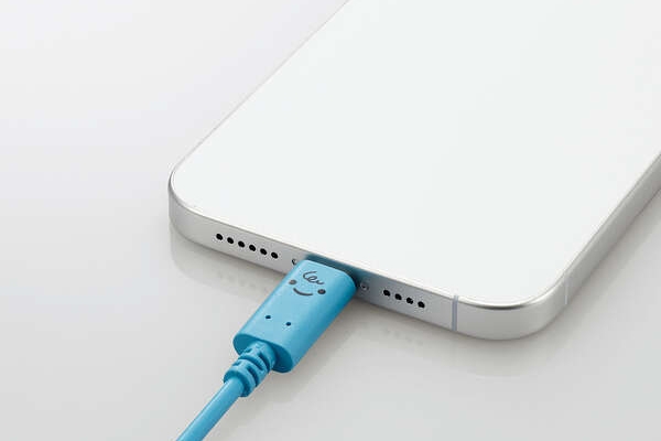 USB Power Delivery�Ή�