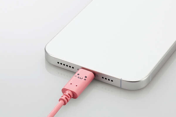 USB Power Delivery�Ή�