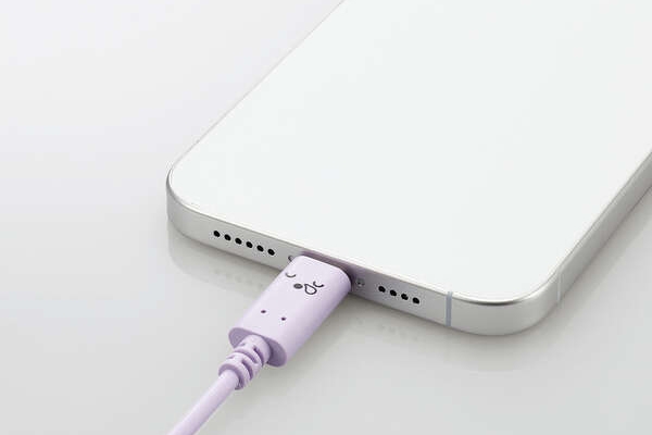 USB Power Delivery�Ή�