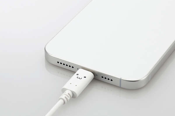 USB Power Delivery�Ή�