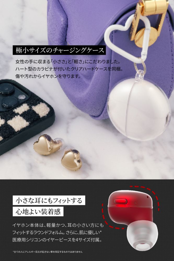 �ɏ��T�C�Y�̃`���[�W���O�P�[�X