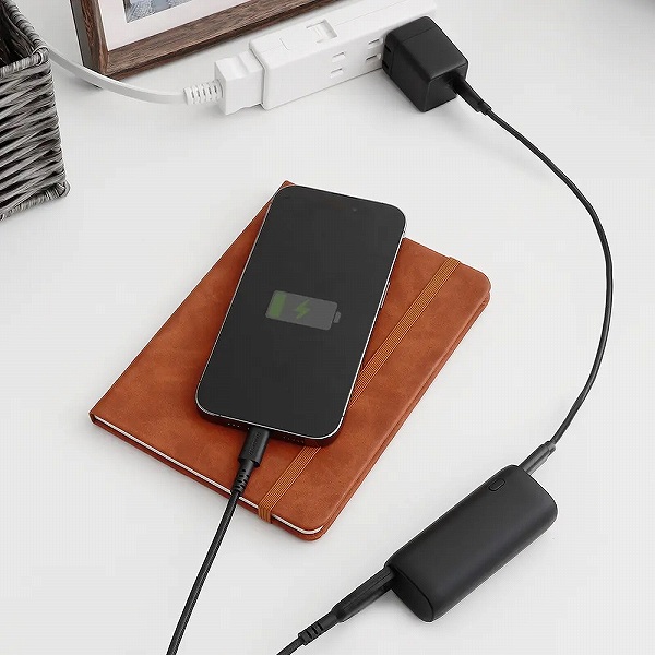 2�䓯���[�d�E�p�X�X���[�[�d�ɑΉ�