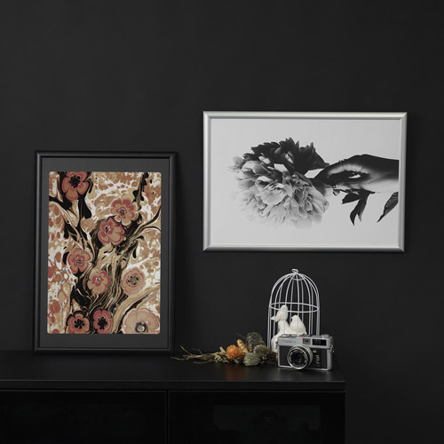 �g�p�C���[�W