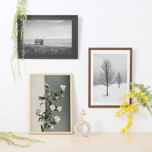 �g�p�C���[�W