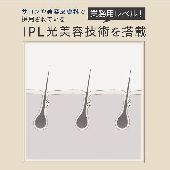 �Ɩ��p���x����IPL�����e�Z�p�𓋍�