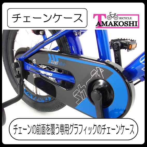 �`�F�[���P�[�X