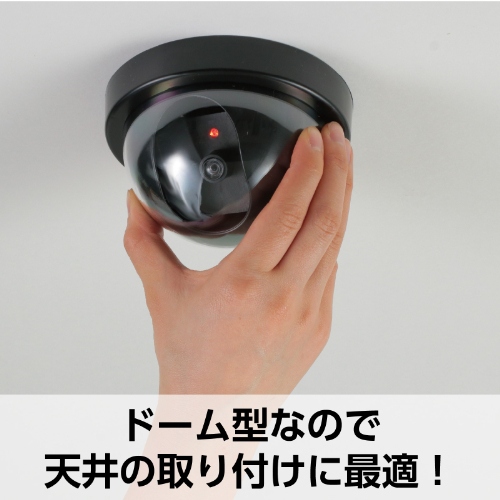 �h�[���^�Ȃ̂œV��̎��t���ɍœK