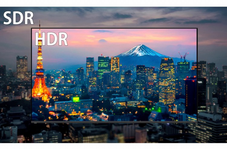 ���A���ɔ������F�N�₩�ȉf���̌�