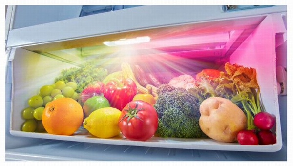 �y������c�C��LED��؎��z