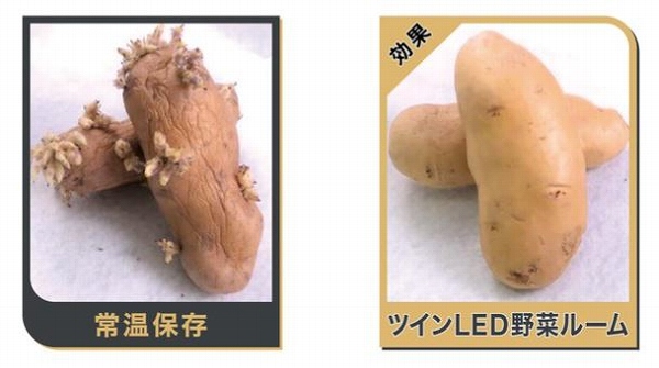 �y������c�C��LED��؎��z