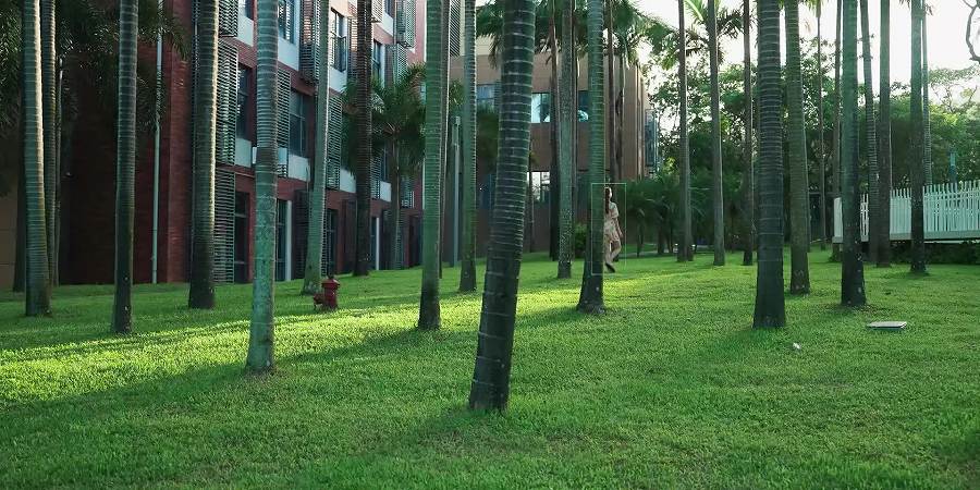 Tail Air�̒ǐՃp�t�H�[�}���X�𔭌�