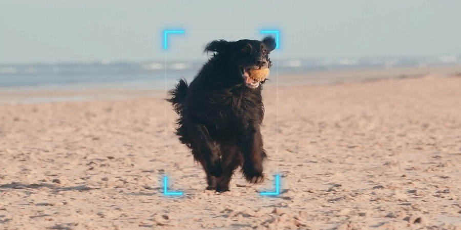 ���Ԃ𒍖ڂ̓I�ɁI[1]