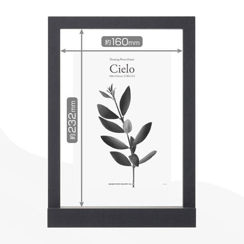 ���R�ȃ��C�A�E�g�ŏ����